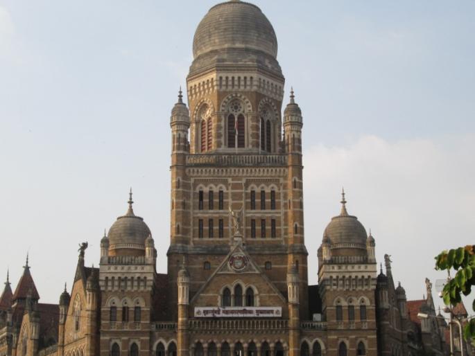  Information about Assistant Municipal Commissioner will be done in those trees | ‘त्या’ वृक्षतोडप्रकरणी होणार कारवाई , सहायक पालिका आयुक्तांची माहिती